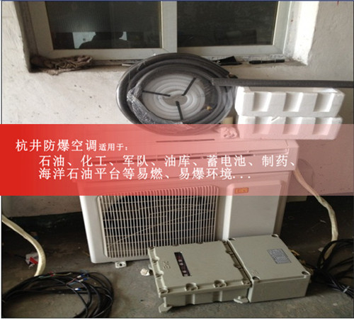 機(jī)房防爆空調(diào)機(jī)案例圖