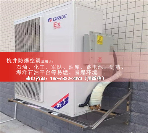 香料廠防爆空調(diào)機(jī)案例圖