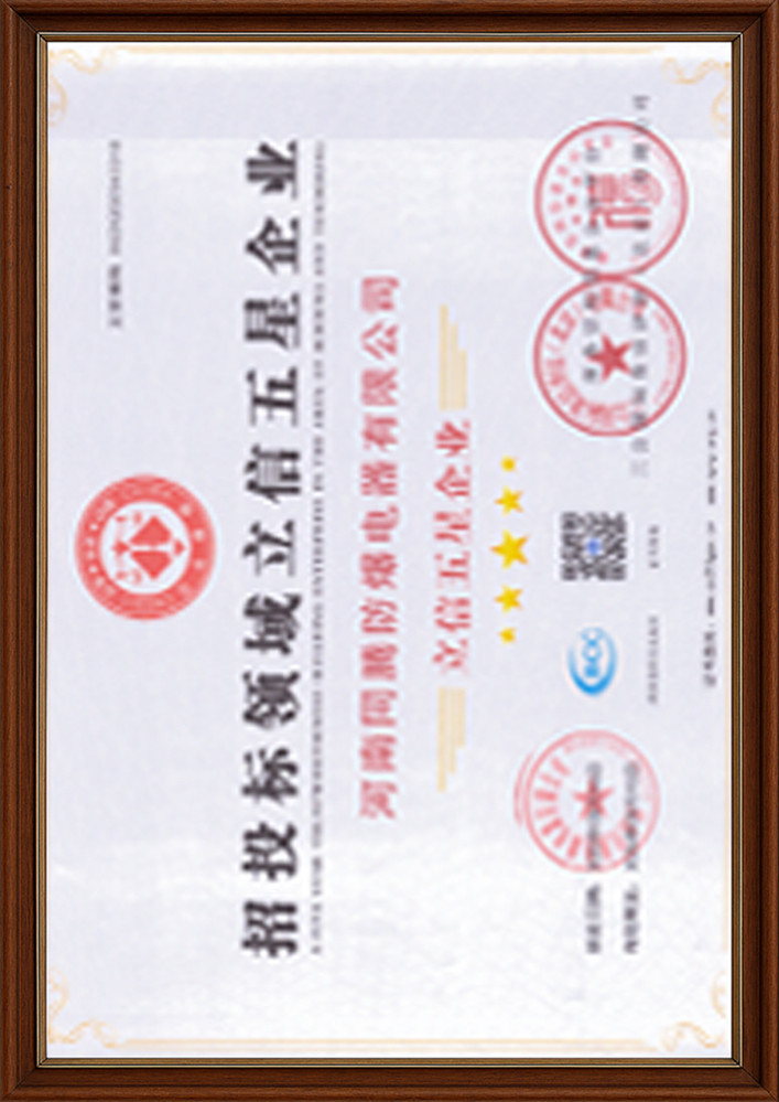 招投標領域立信五星企業